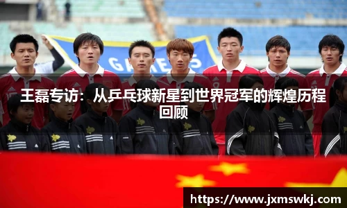 王磊专访：从乒乓球新星到世界冠军的辉煌历程回顾